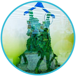 Фото пункту прийому хімчистки Чисто в Чернігові